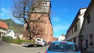 MTB Tour Lambrecht (Pfalz)