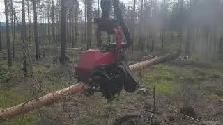 Komatsu 931 C124 Cutting Fire damaged forest in sweden , Avverkar brandskog i Brattsj&ouml;