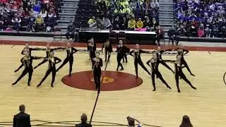 Ashwaubenon Dance Team -  D2 Kick 2018 - 2019 (Till The World Ends) 1st Place WACPC State Champion
