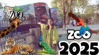 Zoo 2025 🐒🐅🦣|| AJ Humy Boht Maza Aya 🤗|| Shumaila Khan Vlogs||