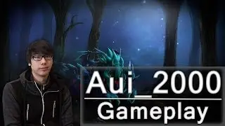 NP.Aui_2000 Weaver Gameplay - Team NP