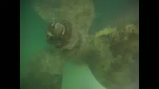 Tortola 10.27.25 Highlights 