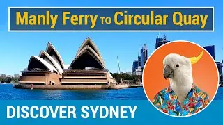 Ferry MANLY to CIRCULAR QUAY