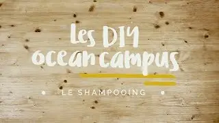Les DIY Ocean Campus - Comment faire son shampoing maison ? - Surfrider Foundation Europe