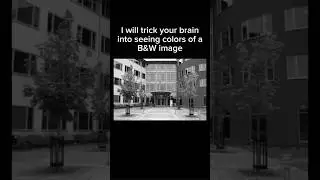 I will TRICK your BRAIN into seeing color on a B&W image🔥 #fyp #trending #cool #colors #illusion #bw