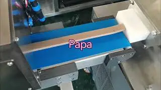 Papa automatic P308 fruit bar maker machine testing video