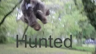 Hunted | A Webkinz Trailer