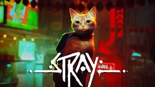 Stray First Cutscene
