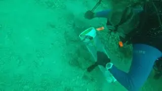 Fisherman captures invasive lionfish with the 'Zookeeper' | 10News WTSP