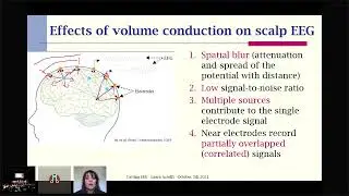 CuttingEEG2021 Laura Astolfi. Mapping the brain through EEG source analysis