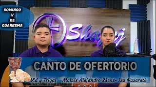 Canto De Ofertorio Para V Domingo De Cuaresma Ciclo A - Vid y Trigal | Shajaj