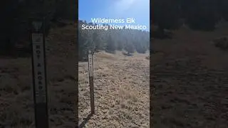 Scouting for elk in the wilderness. #hunting #elk #wildlife #muzzleloader