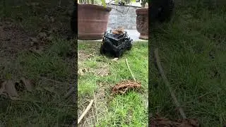 New RC Car Test  Drive in The Garden- This is Off-Road Car Speed Testing