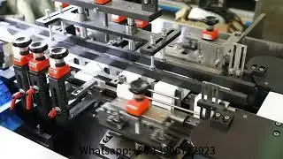 Automatic Bottle/Blister Multifunction Cartoning Machine