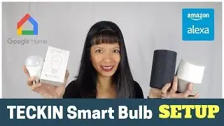 How to Setup TECKIN Smart Bulb with Alexa and Google Home