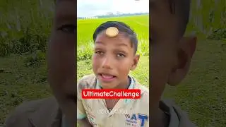 Crazy Game 🍪🔥 Ultimate Epic Biscuit Eating Challenge | TuhinHub Funny Viral Video #shorts #viral