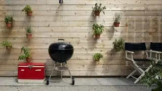6 Budget-Friendly Backyard Decorating Ideas