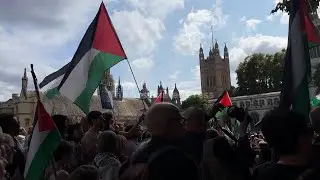 Police detain London demonstrators supporting banned pro-Palestinian group