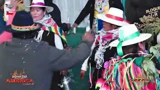 INT. IMBATIBLES CHARACATOS - SOY SOLTERITO D.R. EN VIVO CARIQUIMA CHILE 2025