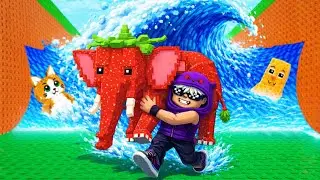ADMIN ABUSE 🌊 ESCAPA DEL TSUNAMI 🍀 LUCKY BLOCK 😱 NUEVOS BRIANROT 🔴 EN VIVO