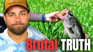 Brutal TRUTH - BASS Don't Give A CRAP What WE Think