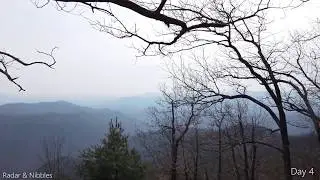 Appalachian Trail 2019 DAY 4 Who are Radar and Nibbles?  Tray Mountain.  16.6 Miles