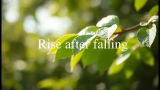 Rise after falling
