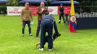 Expo APPA sep3 2023 juez Mauricio Merizalde. Clase hembras 4 a 6 meses.