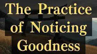 The Practice of Noticing Goodness #yourmonkhaku #buddhism #motivation #mindfulness #spirituality