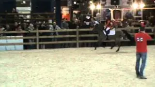 Finale Stijlrijden Mechelen, 1 ste plaats  Emma & Luna