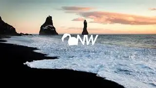 (SOLD) The Chainsmokers & Illenium EDM Type Beat - alive ft. Alan Walker | NEW 2020