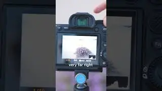 Как использовать гистограмму камеры для правильной экспозиции фотографий