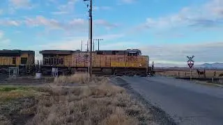 UP Acid Train UP-7890 at Call's Fort Road.