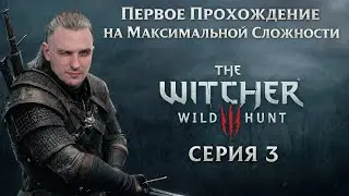 The Witcher. Первое Прохождение/Макс. Сложность. Серия 3