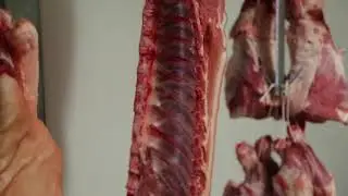 Belgium Butcher / Belgique Wallonie La roche en Ardenne Artisan boucher Maison Bouillon
