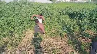 Berhampur wwe Superstar
