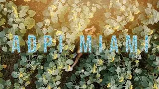 ADPI University of Miami Recruitment Video 2021\ Cinematic