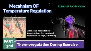 Environmental Influence on Human Physiology Under Exercise PART-III, Skin, Blood,Shivering, Sweating