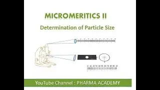 Particle Size Determination