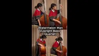 Watermelon Man (Herbie Hancock) - Upright Bass Quartet