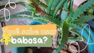 HIDRATA&Ccedil;&Atilde;O DE CABELO COM BABOSA 🪴