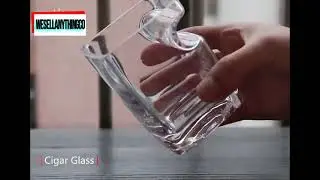 Whiskey Glass With Cigar Holder 2 in 1
