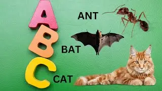 ABC SONG FOR KIDS ,NURSERY RHYME,LEARNING CORNER FOREVER