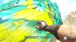 Ark Diaries S5 epi 7  Here there be dragons!