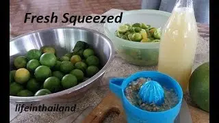 Home grown lime juice, freshly squeezed.