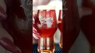 Birds gotta fly. Ladies gotta brew. Ladybird Brewing takes local beer to new heights. #ToTheStarsKS