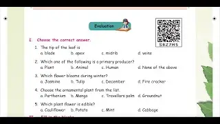 PLANTS - EVALUATION  - UNIT 3 - TERM 2  SCIENCE - 4TH STD - ENGLISH  MEDIUM