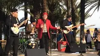 Sultans of Jungle (FI) @ Plaza del Remo 18.5.2019