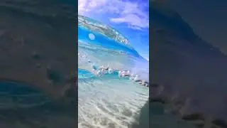 Clear Ocean 🌊 #shorts #oceanvideo