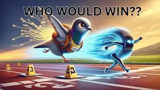 Can a pigeon beat the Internet‽